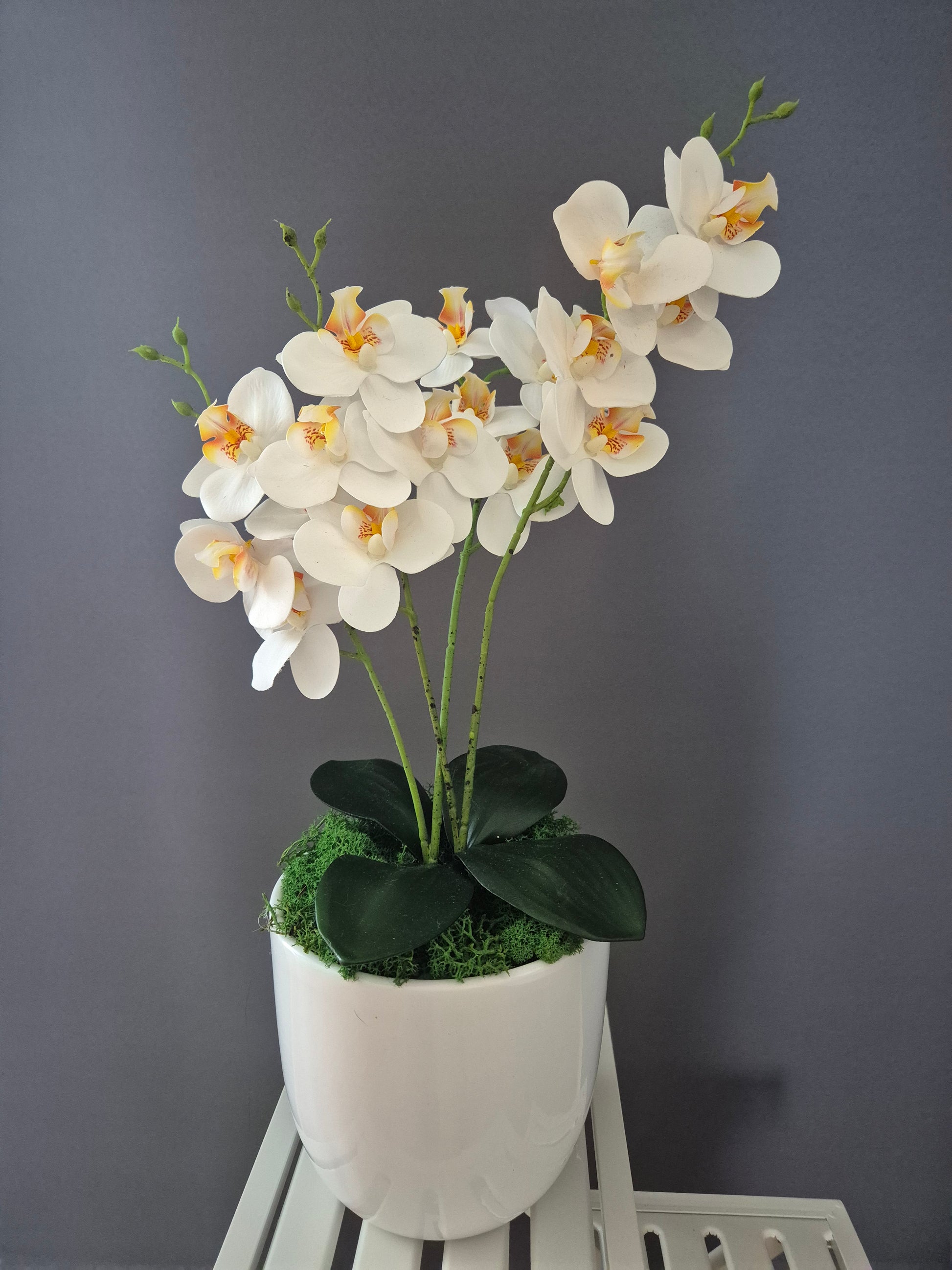 Blosje Orchideedecoratie
