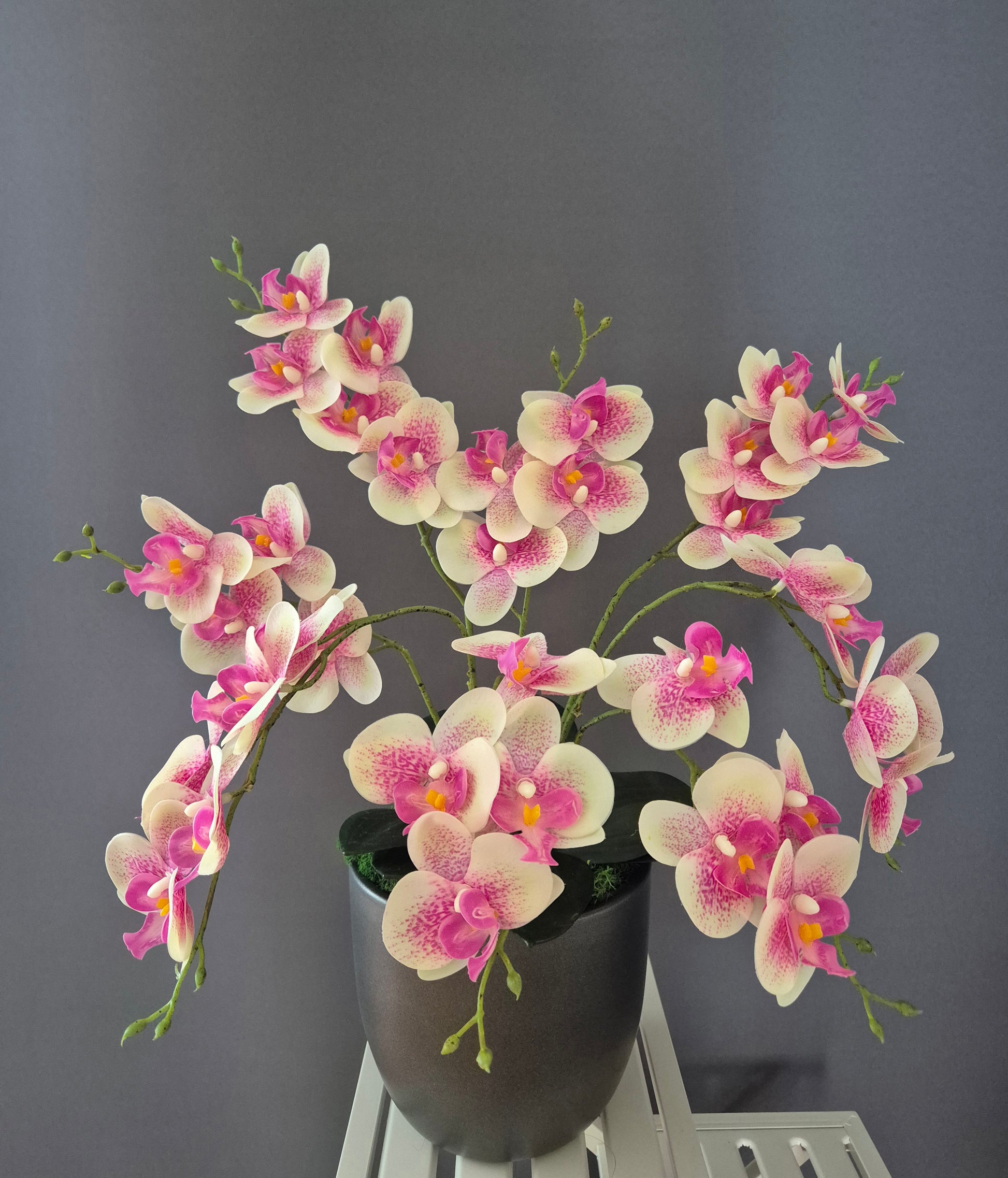 Dageraad orchideedecoratie