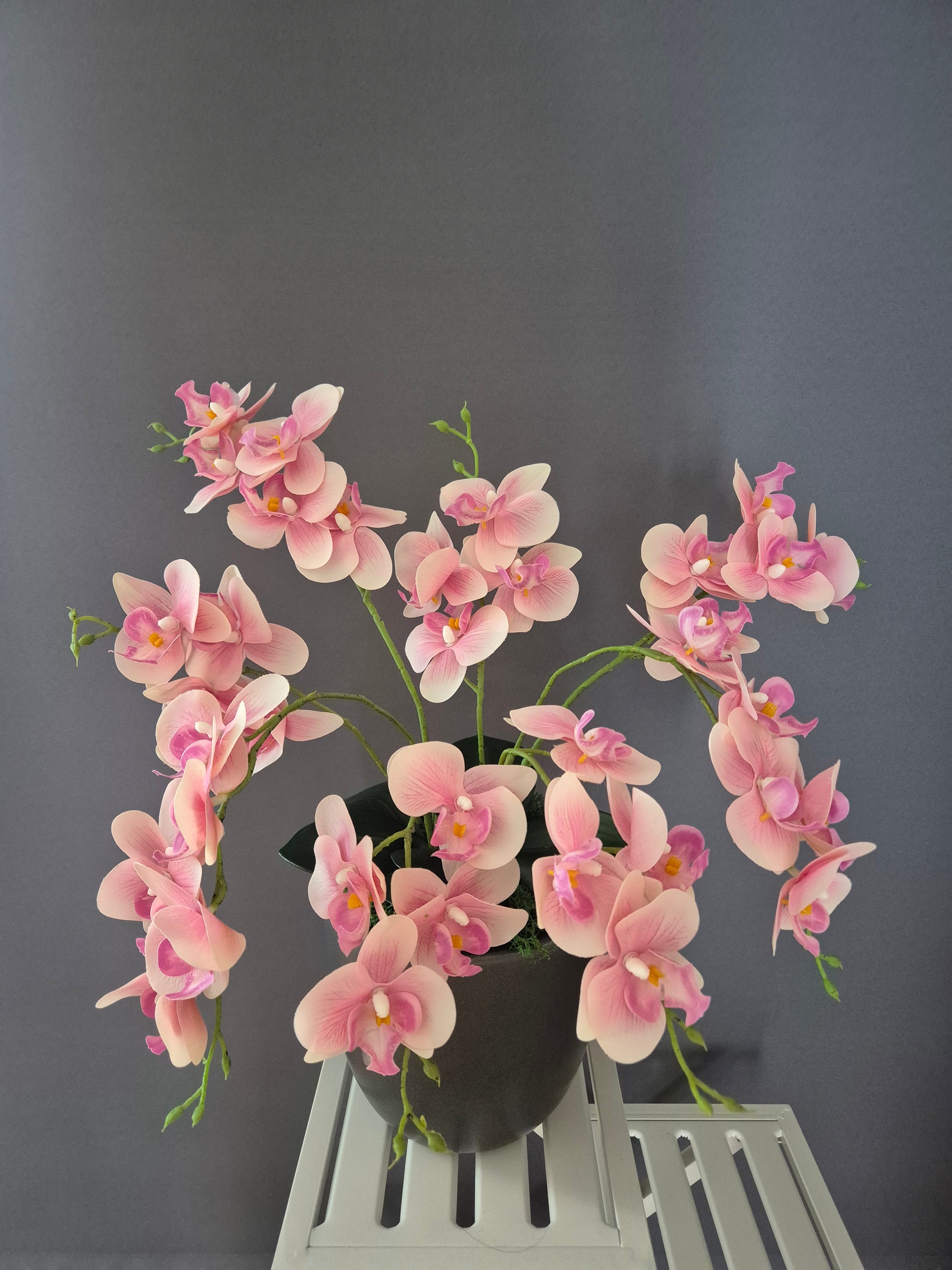 Dageraad orchideedecoratie