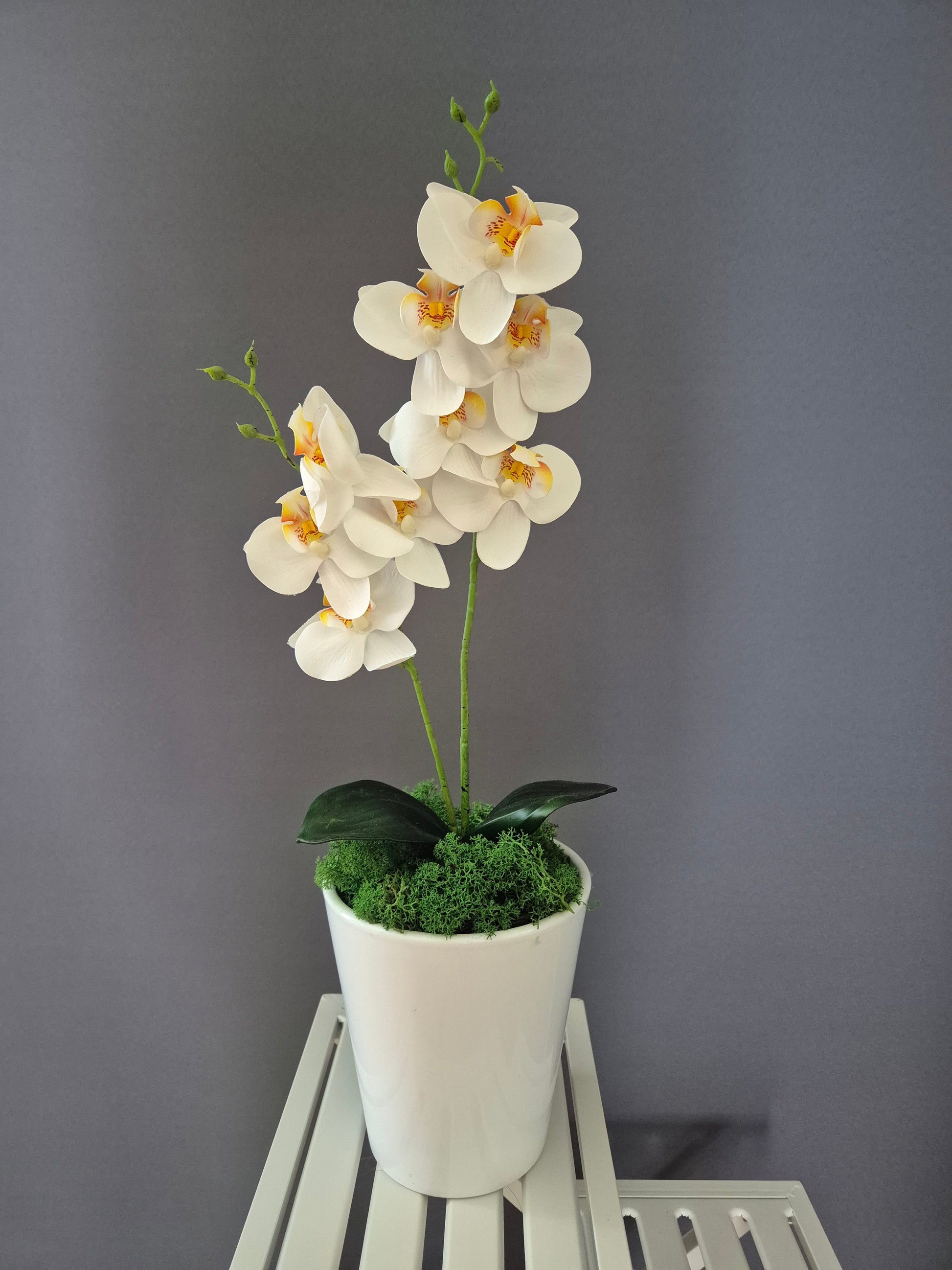 Bloemkusje Orchideedecoratie