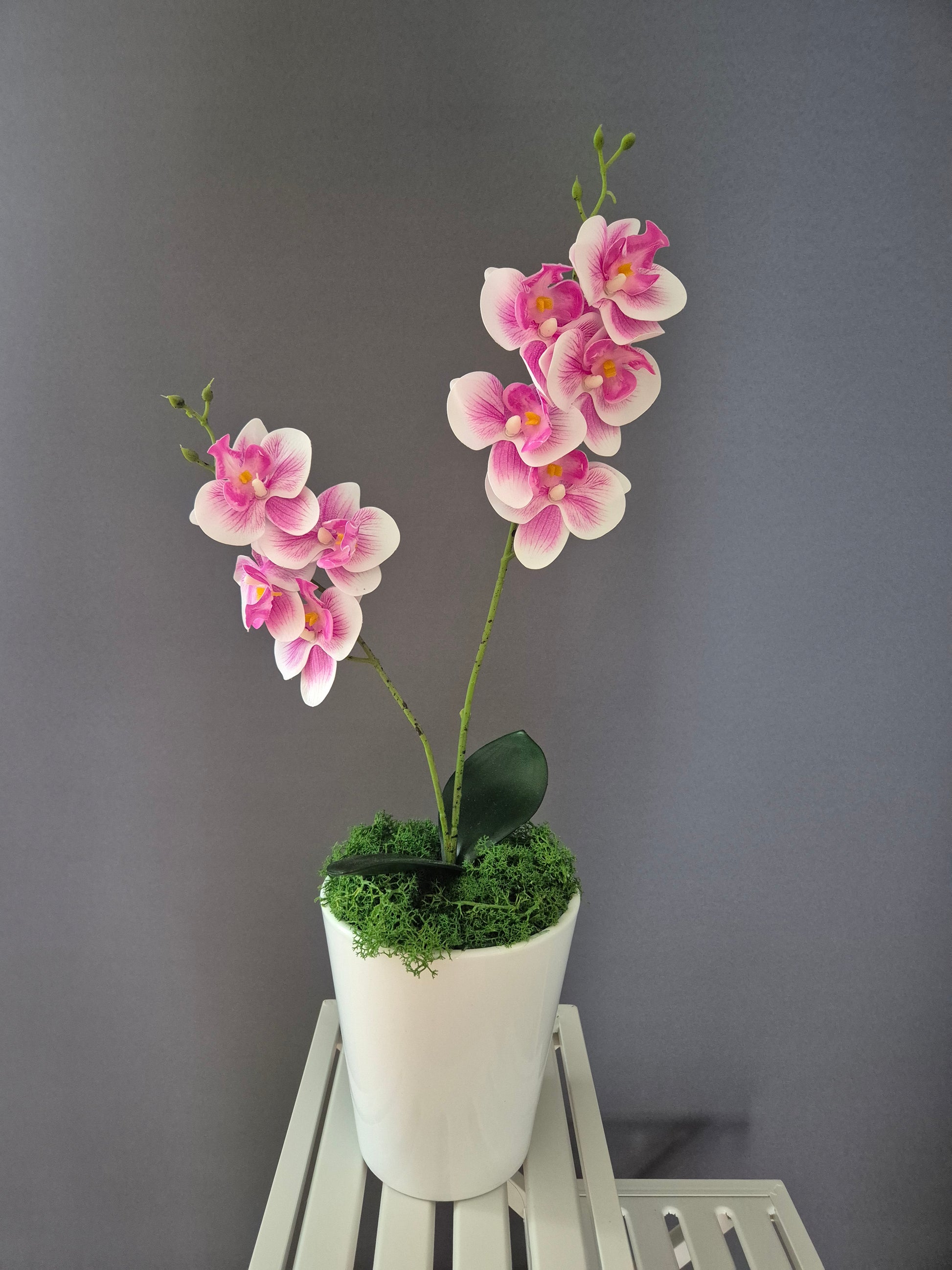 Bloemkusje Orchideedecoratie