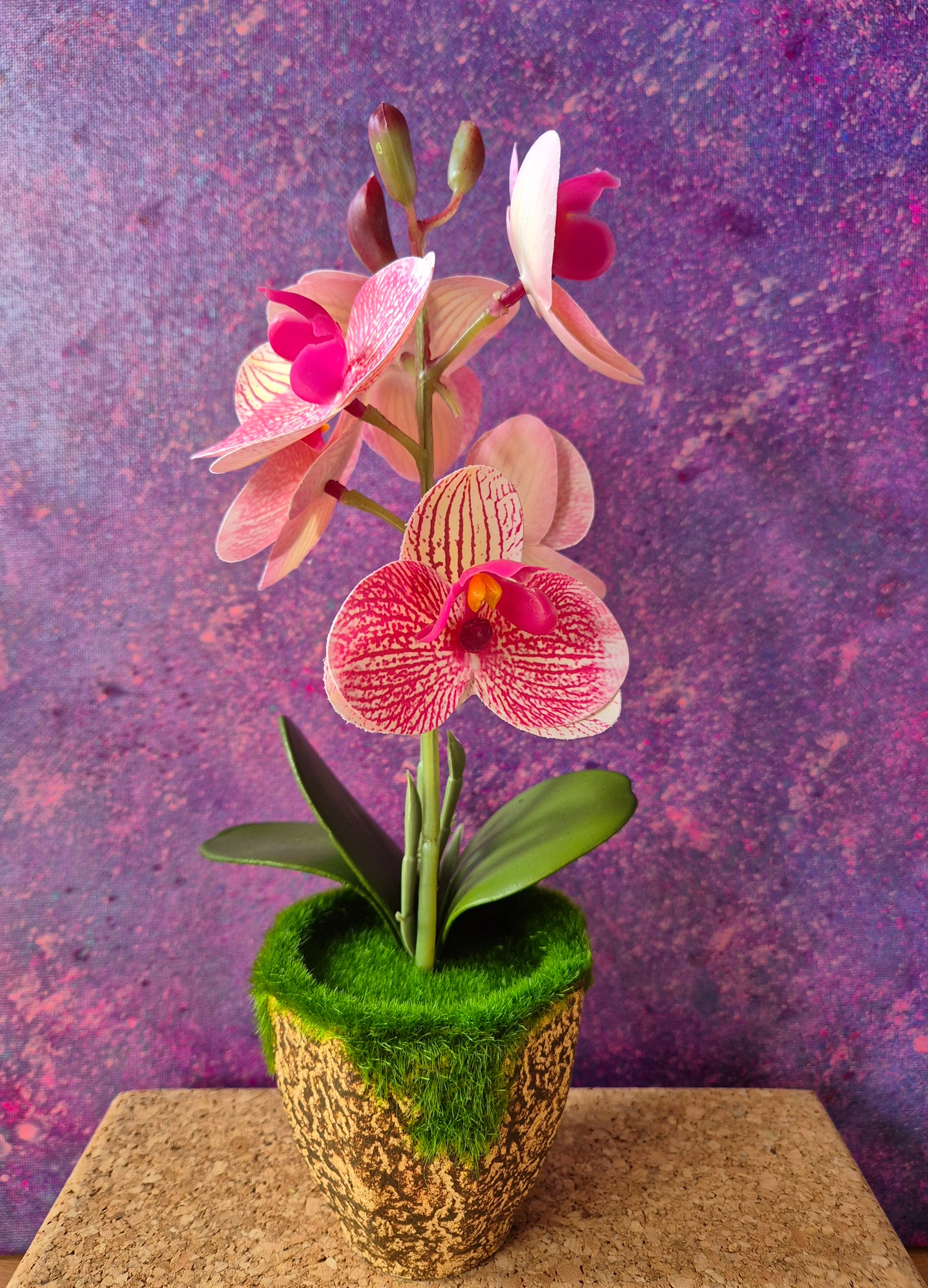 MiniFlair orchidee decoratie