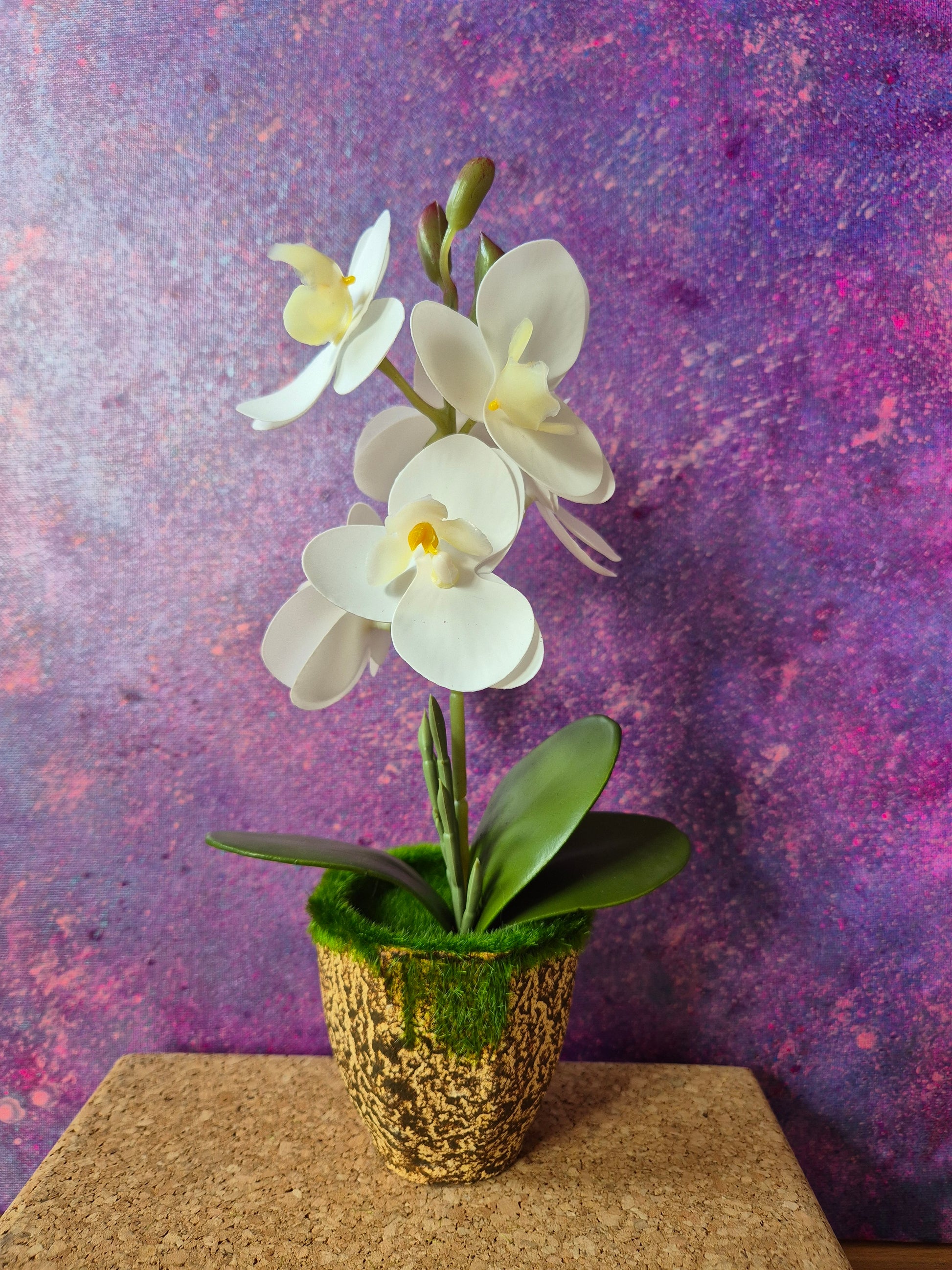 MiniFlair orchidee decoratie