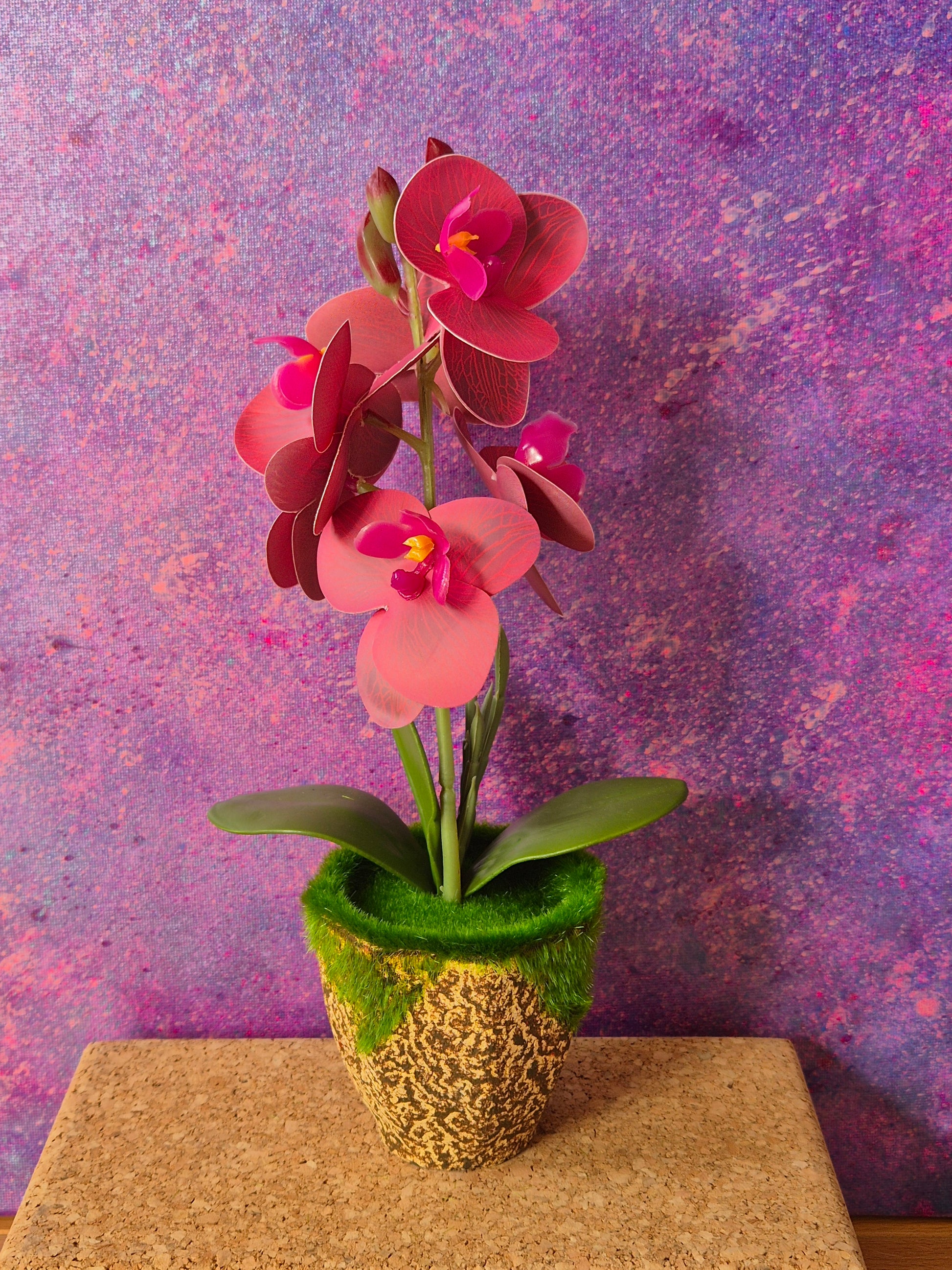MiniFlair orchidee decoratie