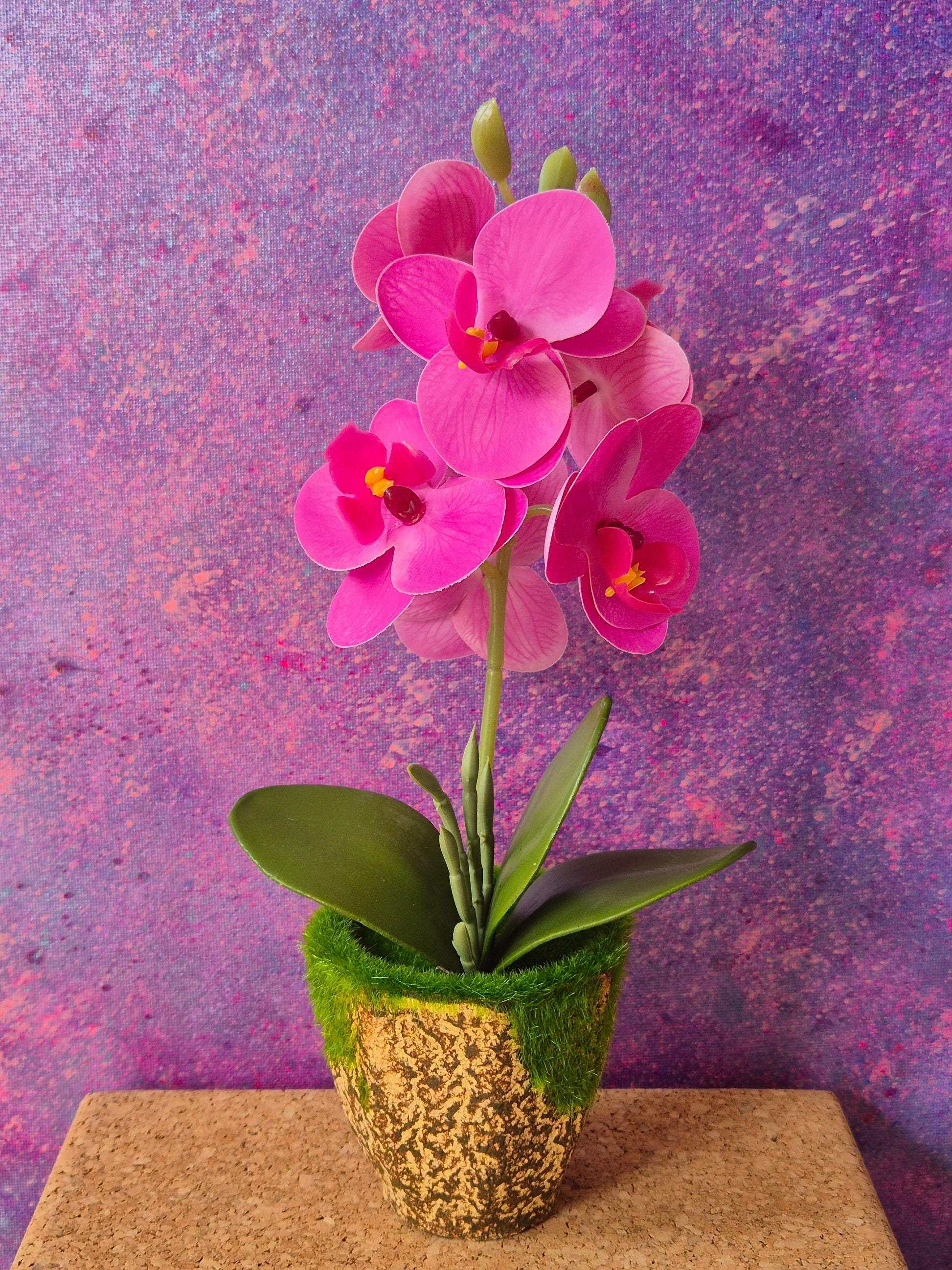 MiniFlair orchidee decoratie