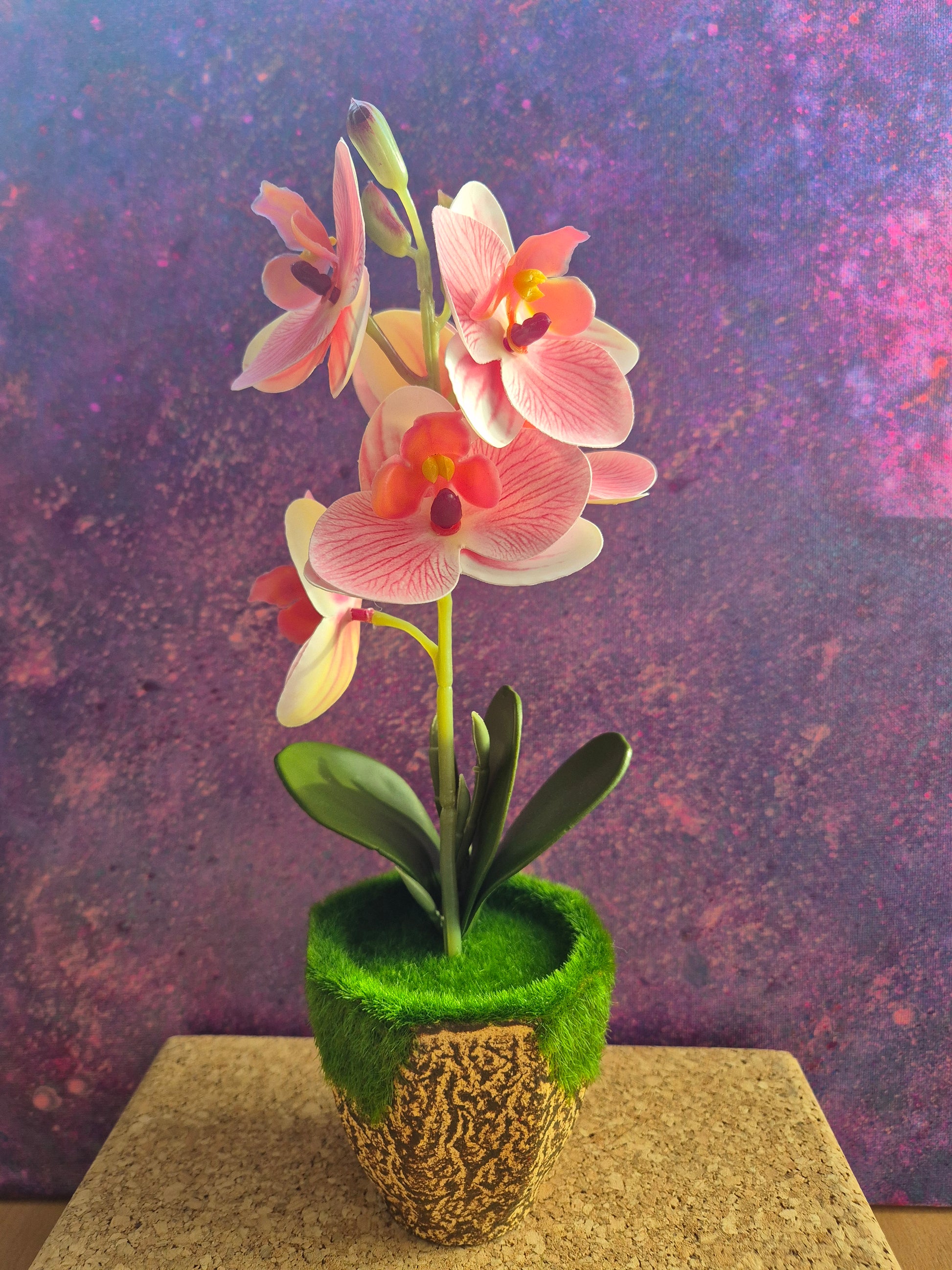 MiniFlair orchidee decoratie