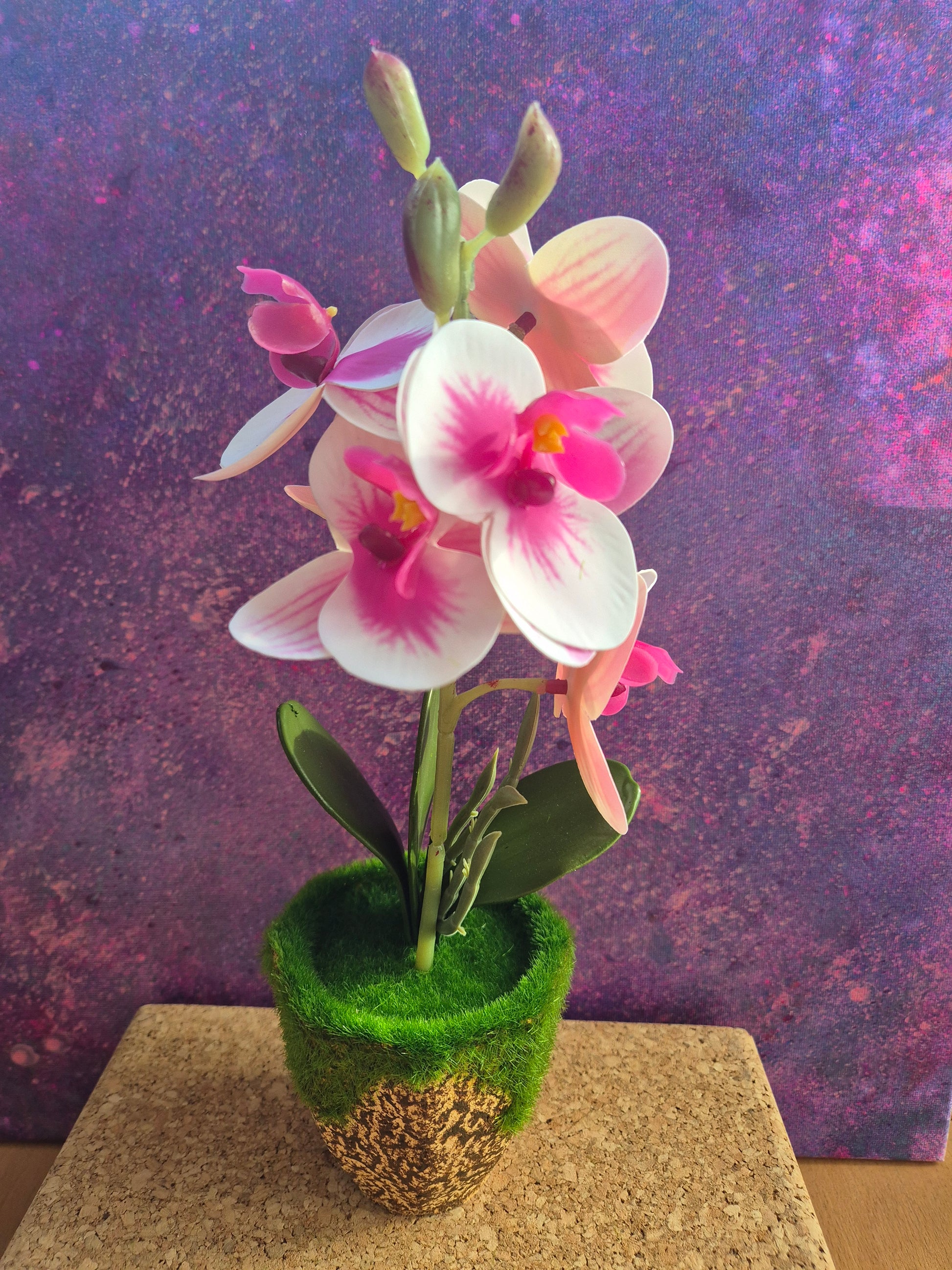 MiniFlair orchidee decoratie