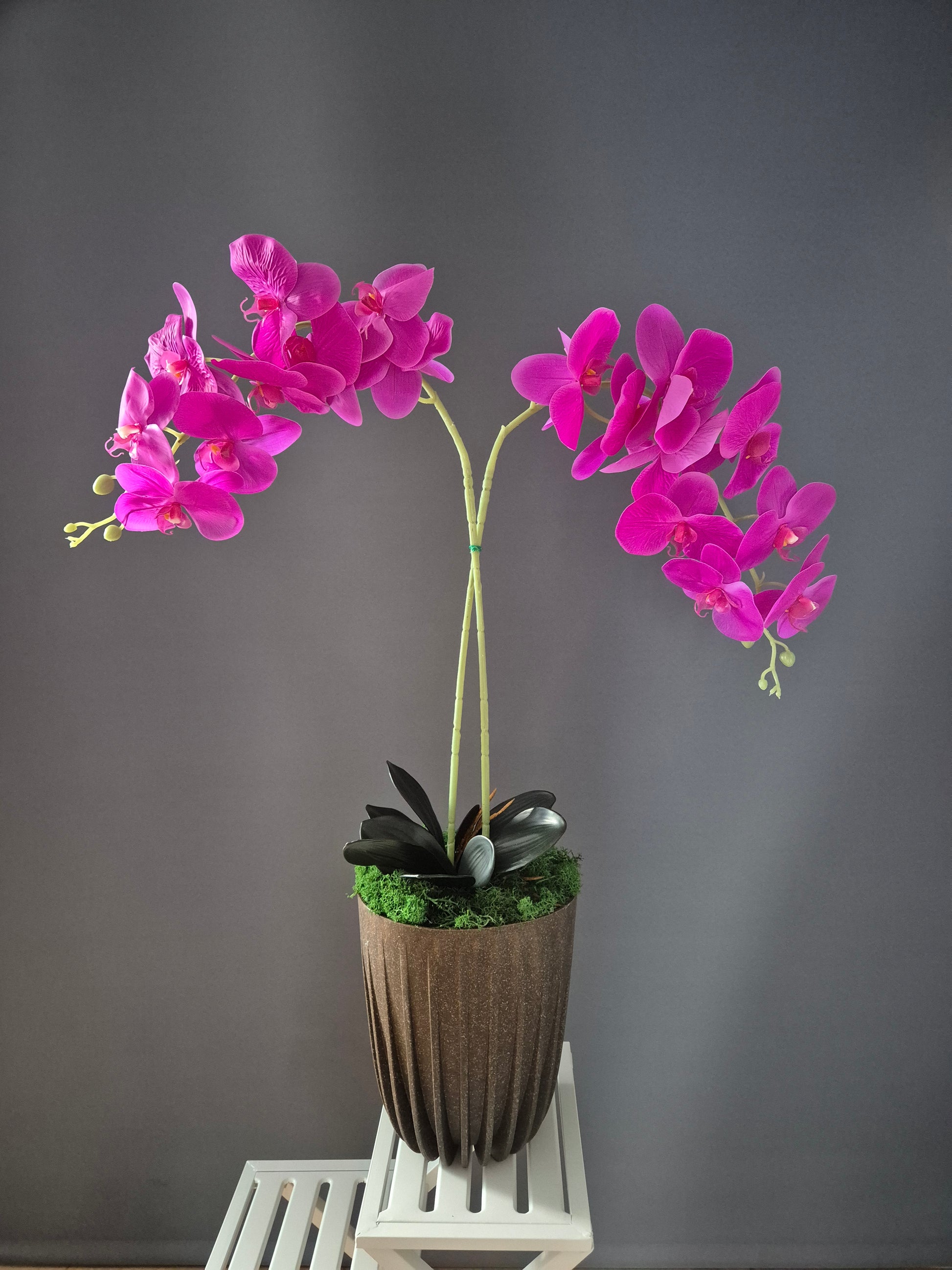 Violet Orchideeëndecoratie