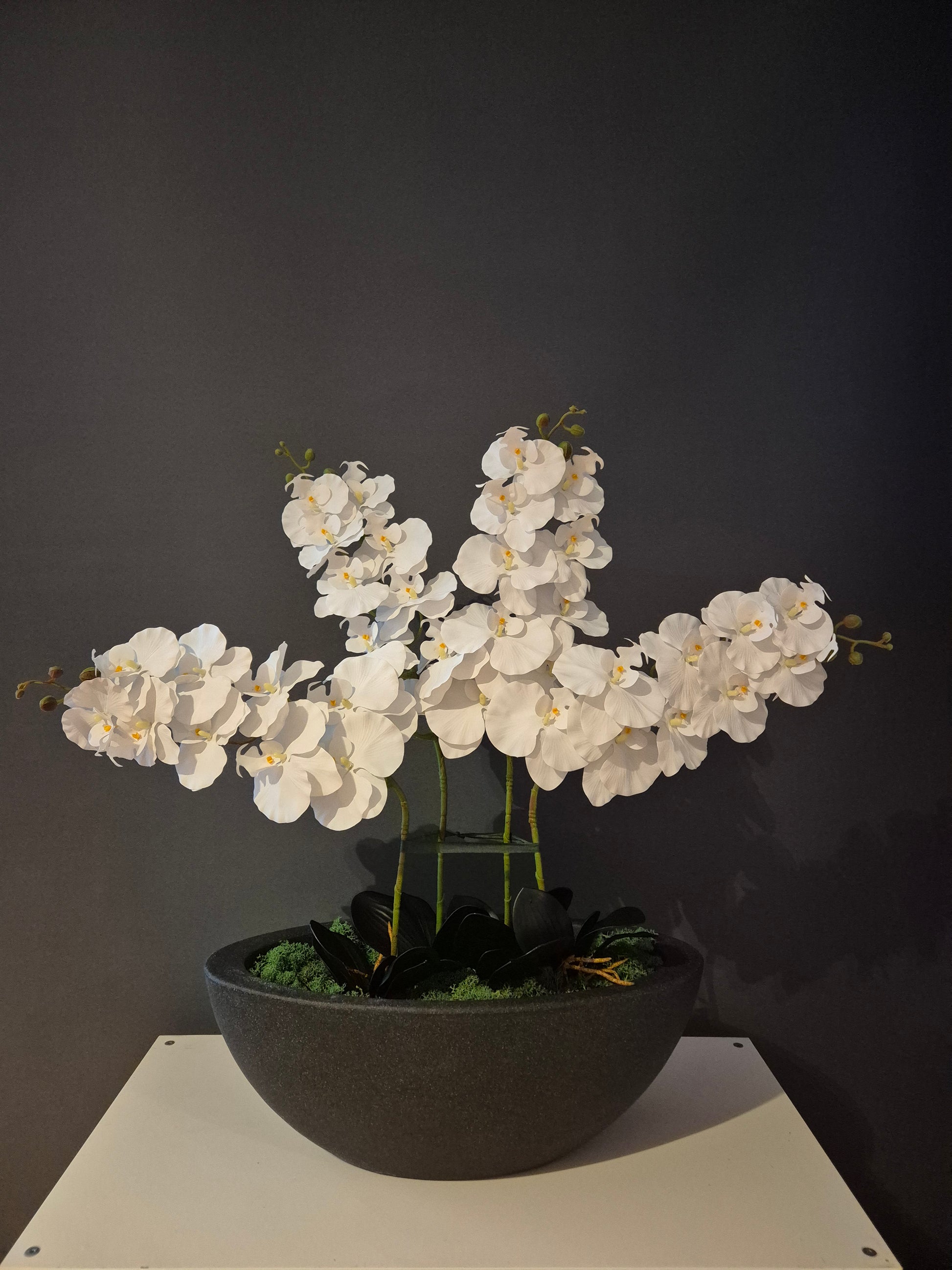 Isabella Orchidee Decoratie