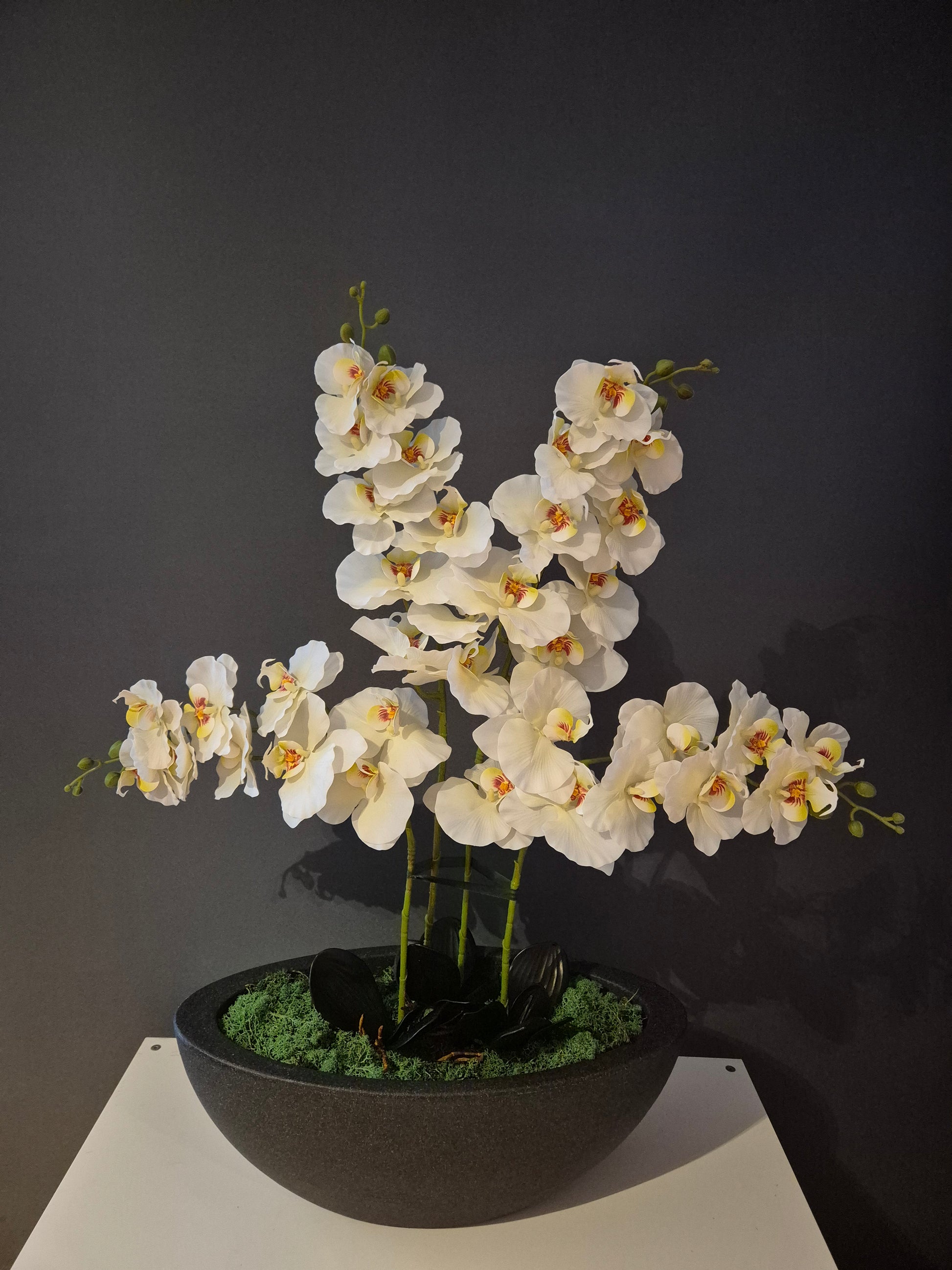 Isabella Orchidee Decoratie