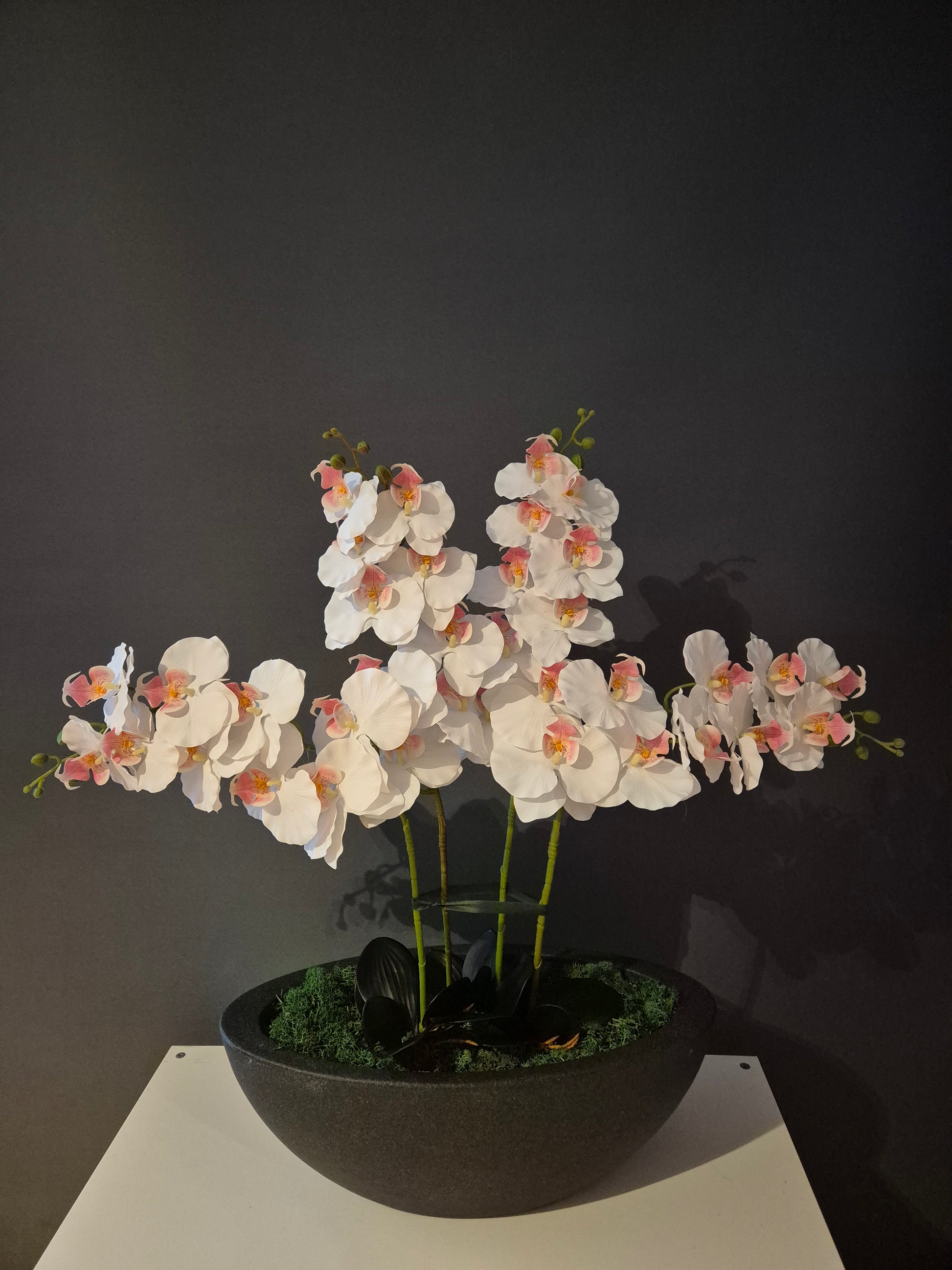 Isabella Orchidee Decoratie