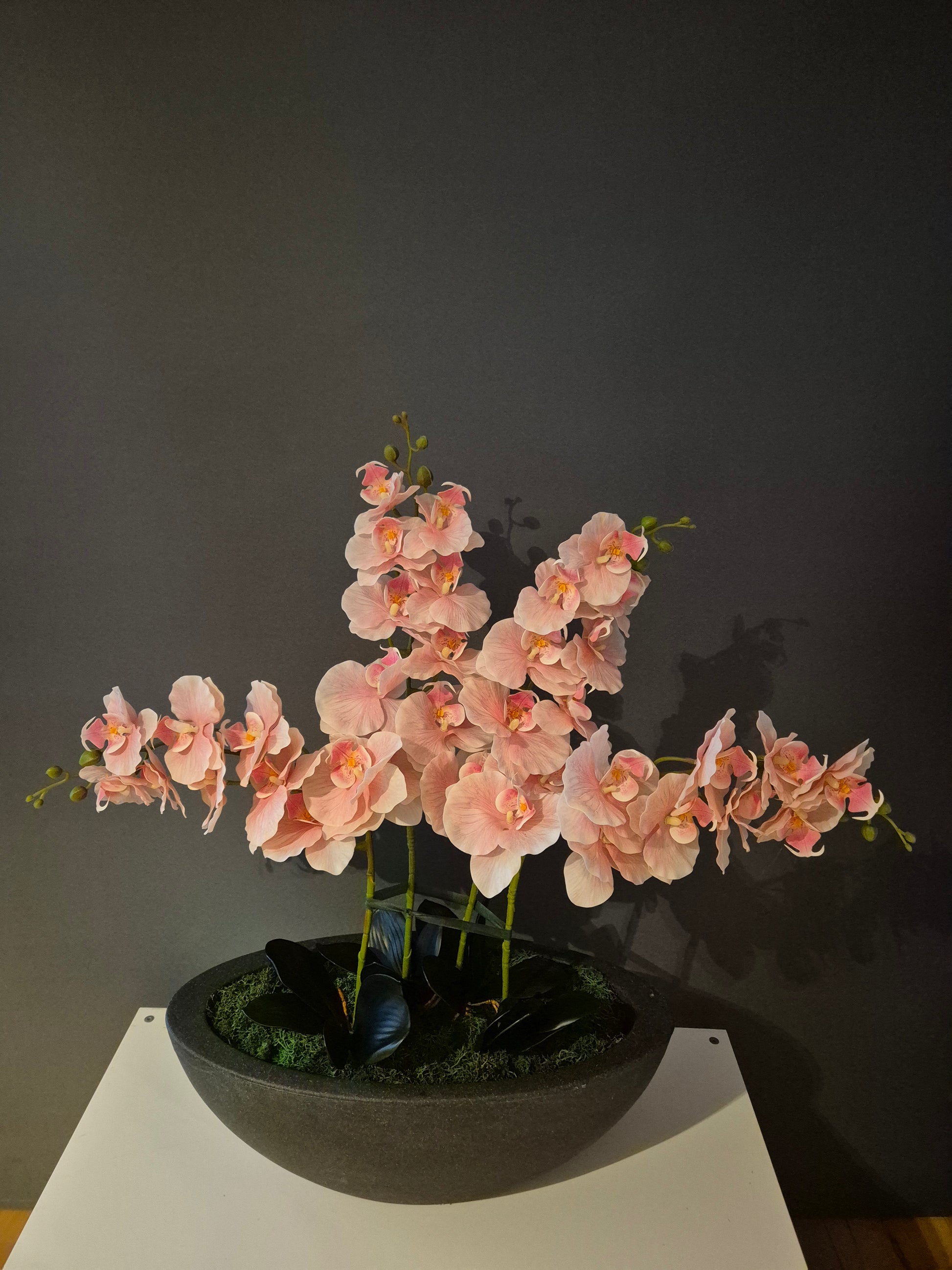 Isabella Orchidee Decoratie