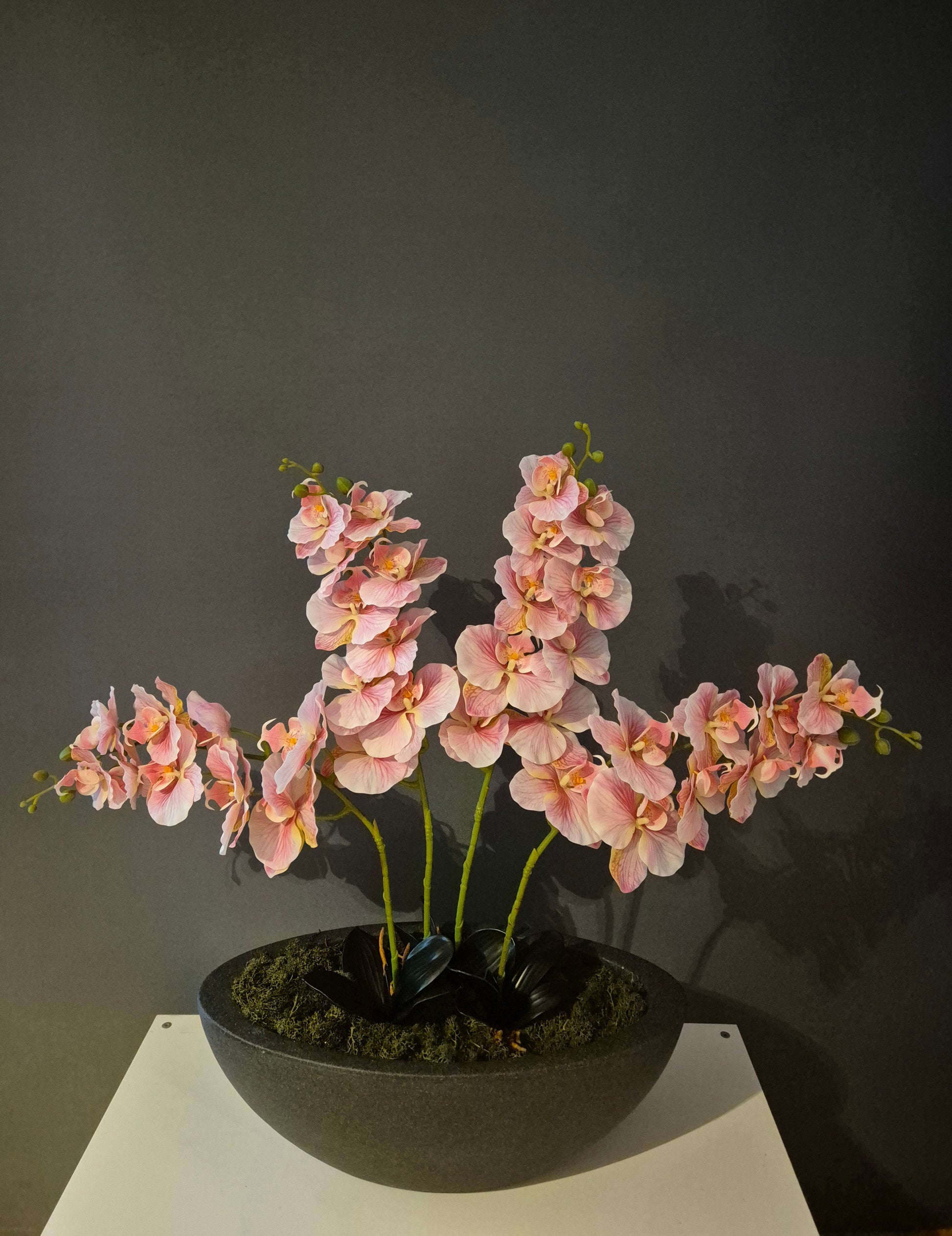 Isabella Orchidee Decoratie