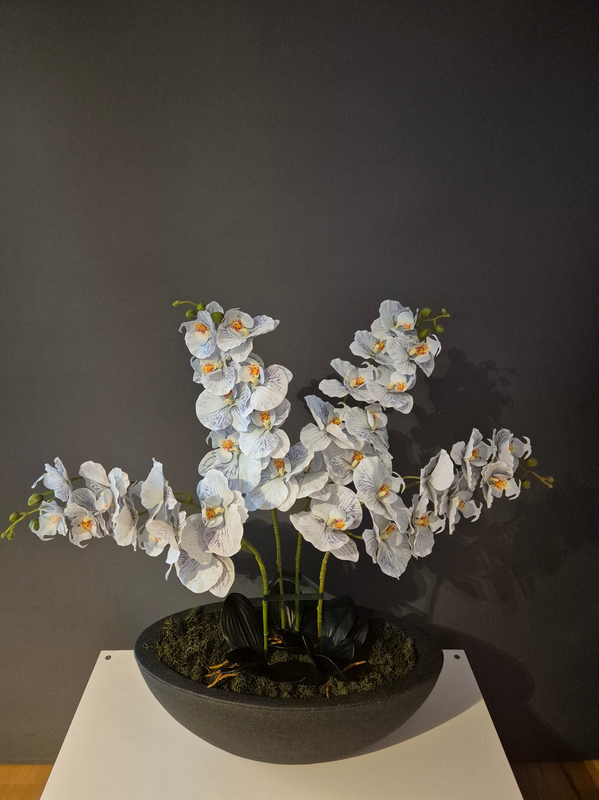 Isabella Orchidee Decoratie