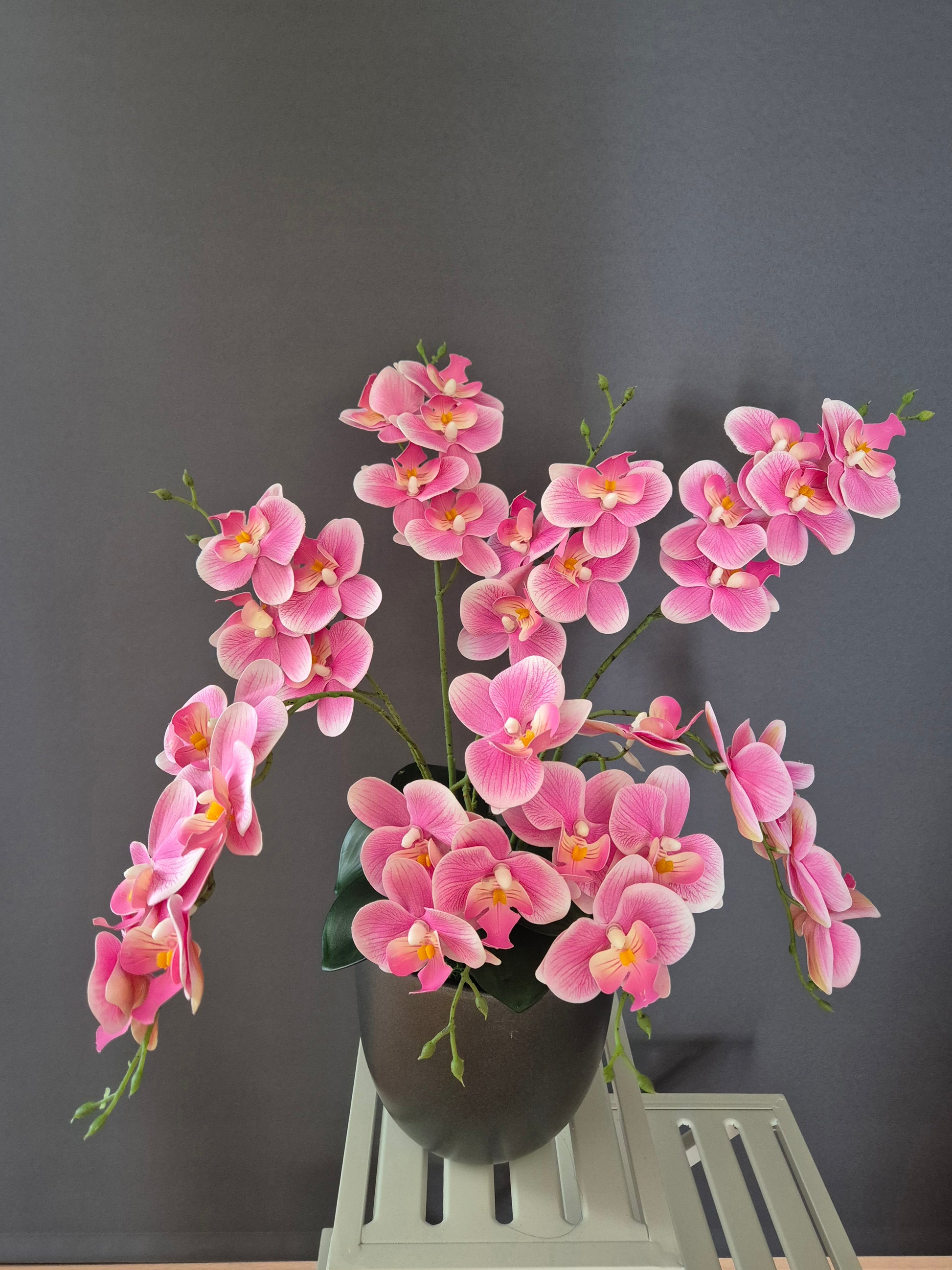 Dageraad orchideedecoratie