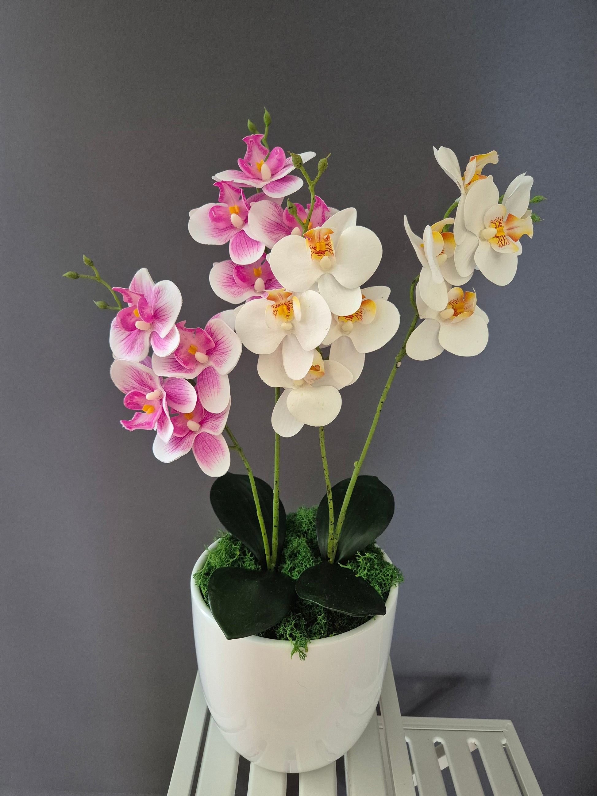 Belisje Orchideedecoratie