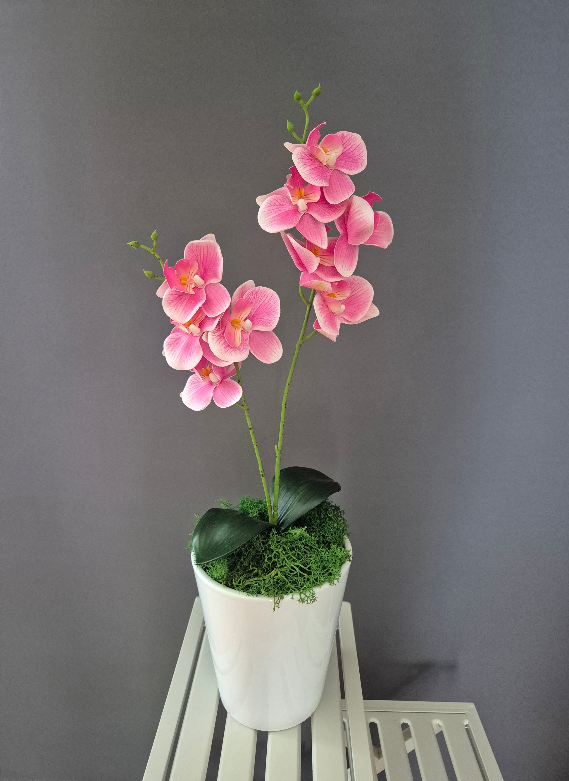 Bloemkusje Orchideedecoratie