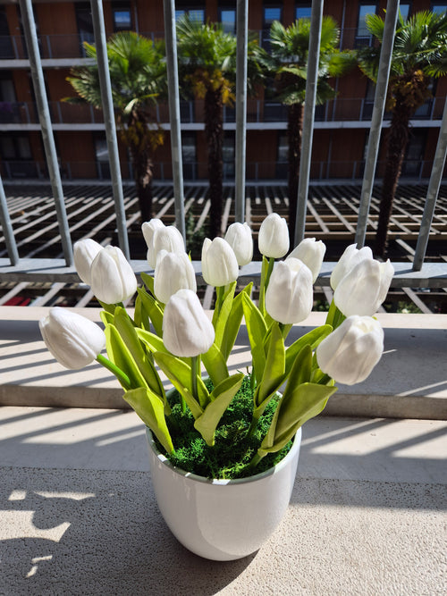 Avina Tulpendecoratie