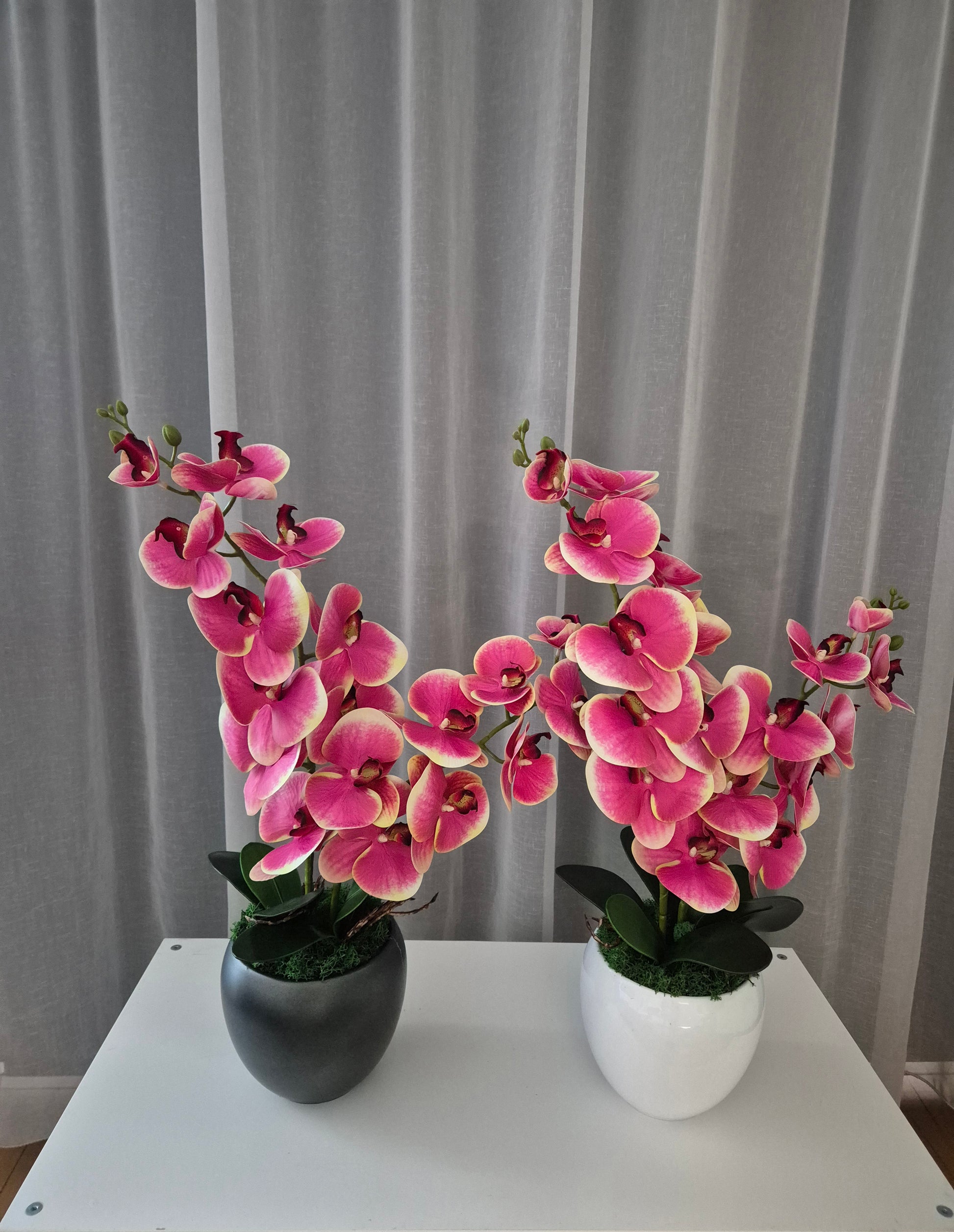 Noor Orchidee Decoratie