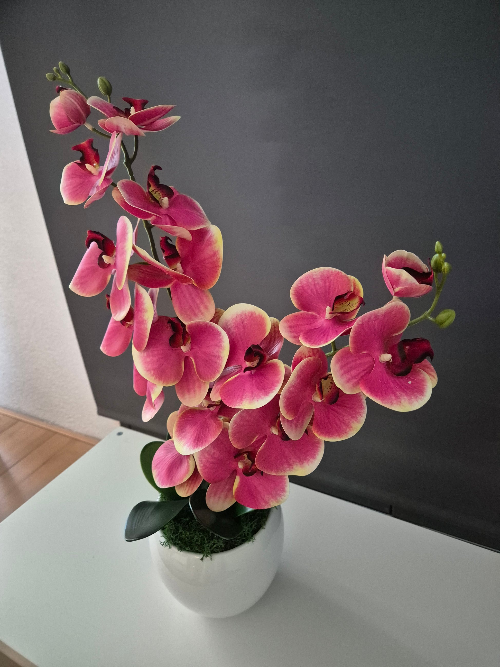 Noor Orchidee Decoratie